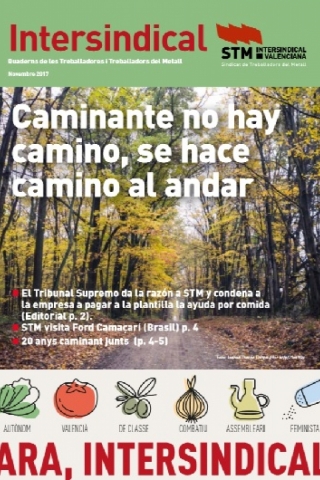 Revista STM novembre 2017